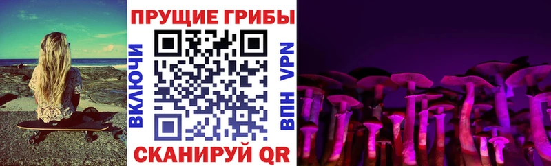 Псилоцибиновые грибы мухоморы  Купить  Райчихинск 